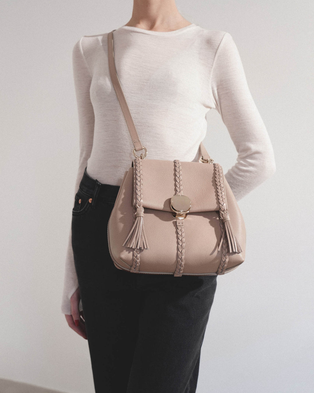 【送料&関税込】ChloAC Embroidered Wool Small Penelope Handb Chloé Embroidered Wool Small Penelope Handbag | eBay
