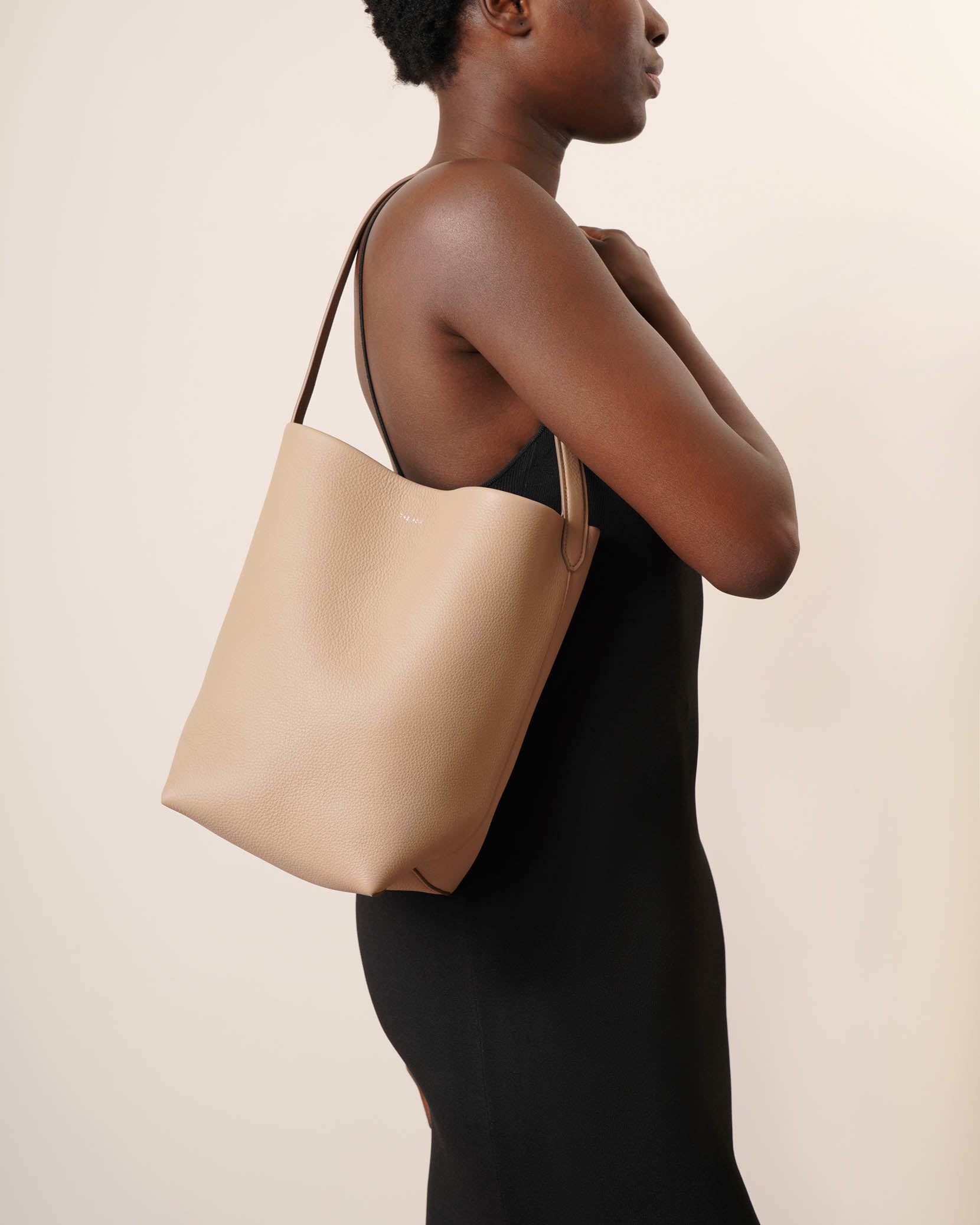 Medium N/S Park taupe tote bag